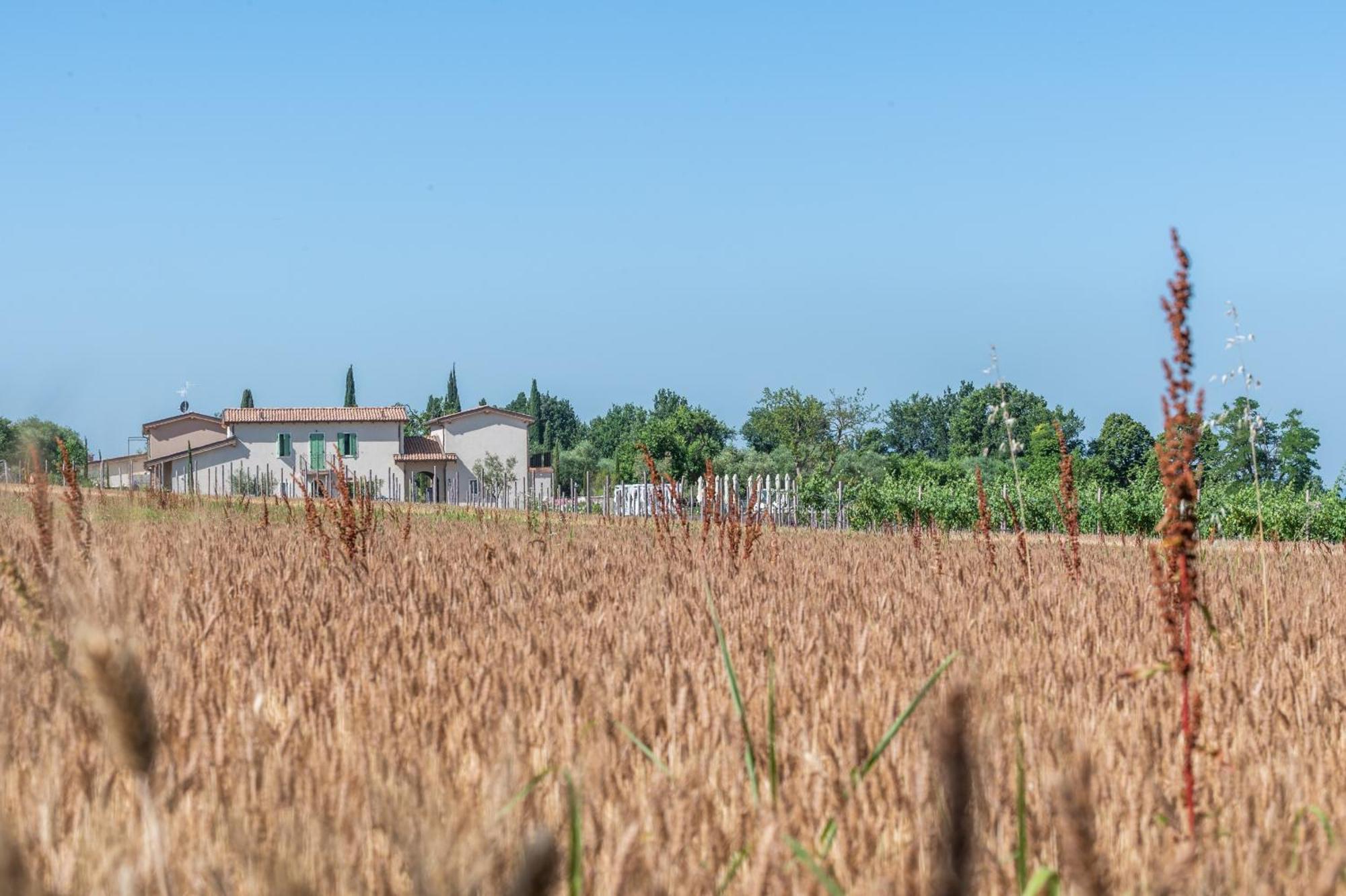 Natiia Relais - Adults Only Hotell Lazise Exteriör bild